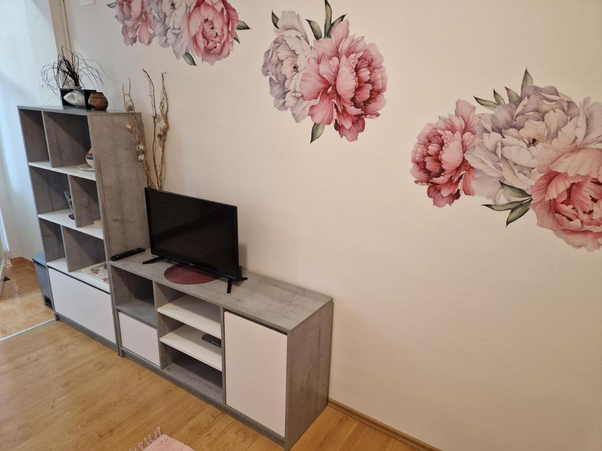Apartments Dragan Baška Voda Eksteriør billede